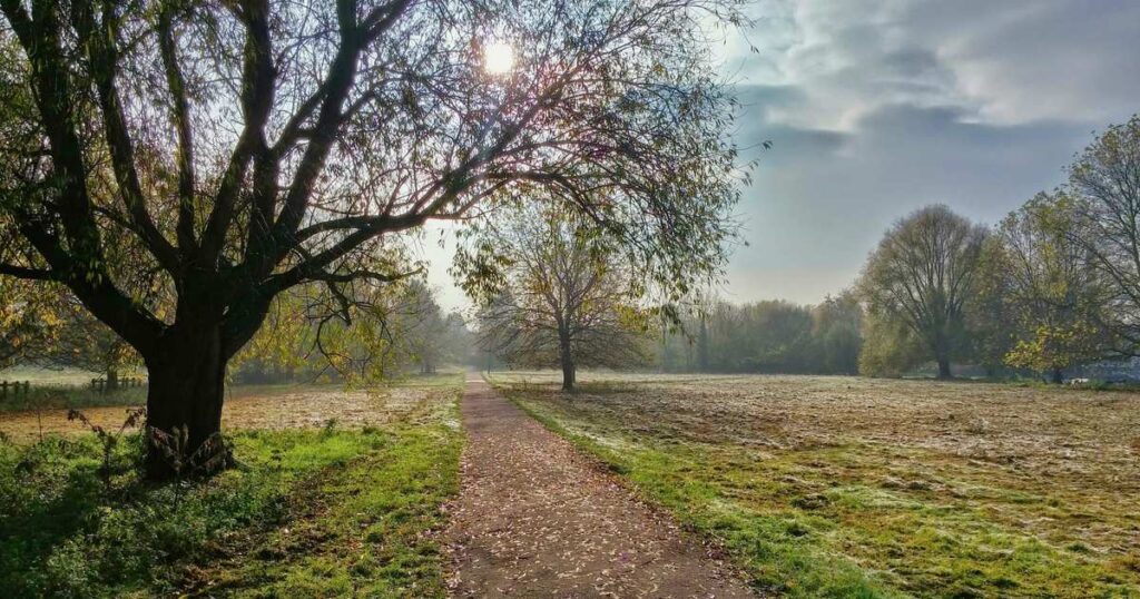 Тропинка в осеннем парке