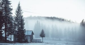 Дом в заснеженном лесу в утреннем тумане