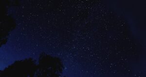 Звёздное ночное небо и силуэты деревьев